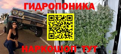 прущие крисы Балаково