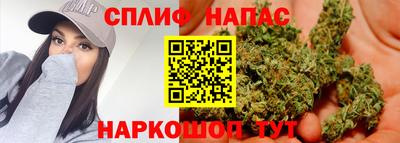 метадон Гай