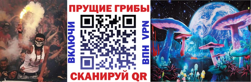 Псилоцибиновые грибы Cubensis  сколько стоит  Донской 