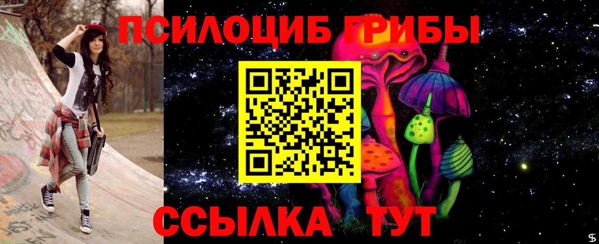 Псилоцибиновые грибы Psilocybe Донской