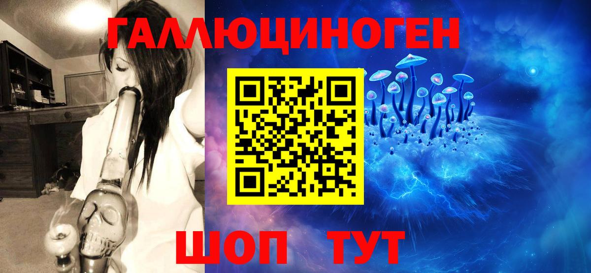 Донской  Галлюциногенные грибы мицелий  Вход с VPN  Псилоцибиновые грибы Cubensis 