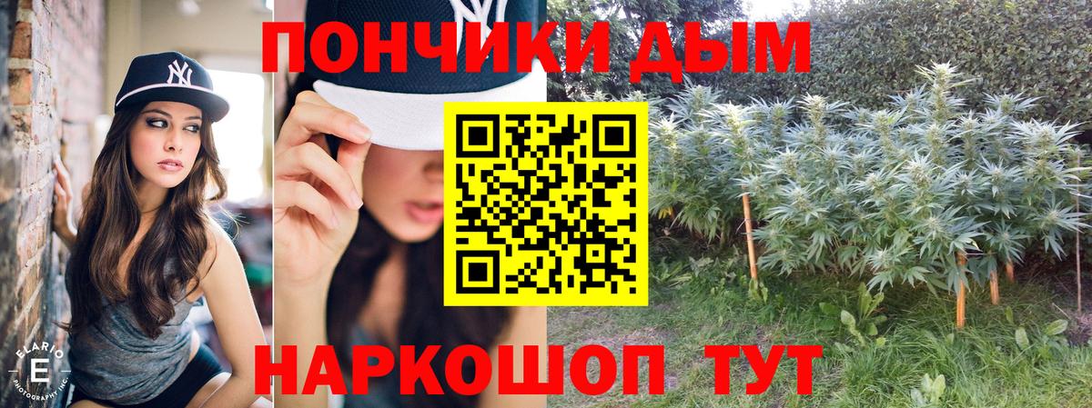 Шишки марихуана семена  Бошки марихуана план  Вход с VPN  Марихуана гибрид  Донской 
